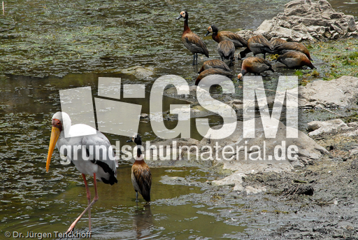 Nimmersatt (6 von 22).jpg